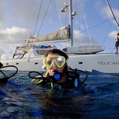 15 Pelican 15 Pelican